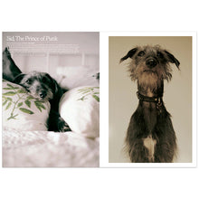 Load image into Gallery viewer, SSAW Autumn Winter 2016-2017